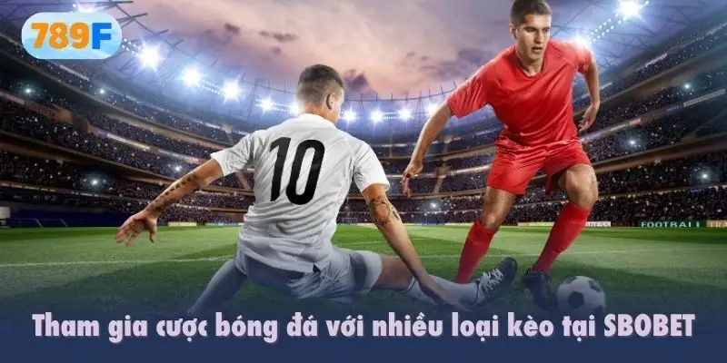Tham gia cược bóng đá với nhiều loại kèo tại SBOBET